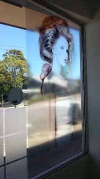 Window Decal 22