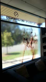 Window Decal 23
