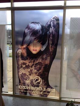 Window Decal 25